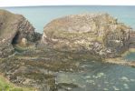 PICTURES/Drive to Inverness/t_Crawl Space Ocean Side4.JPG